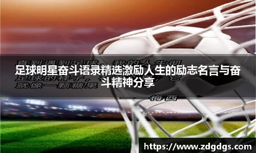 星空·综合体育中国官网