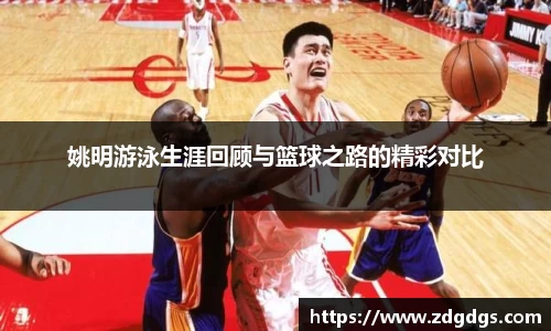 星空·综合体育官方网站
