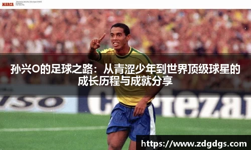 星空·综合体育中国官网