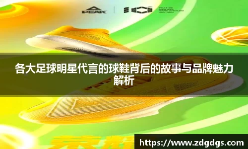 星空·综合体育