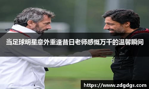 星空·综合体育官方网站