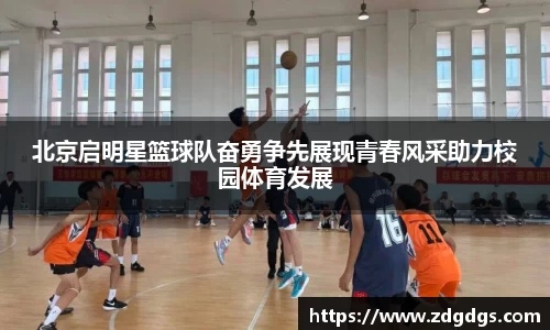 星空·综合体育中国官网